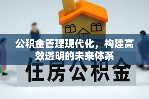 固原公积金管理现代化，构建高效透明的未来体系
