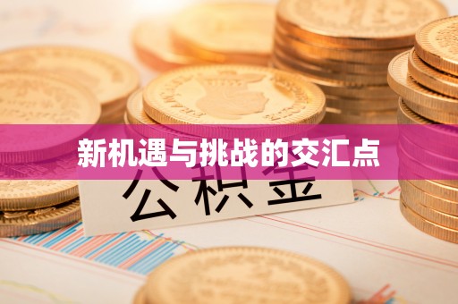固原新机遇与挑战的交汇点