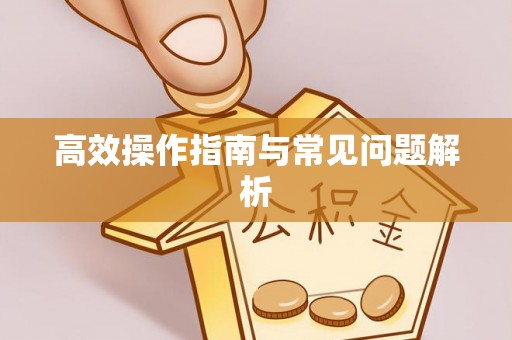 固原高效操作指南与常见问题解析