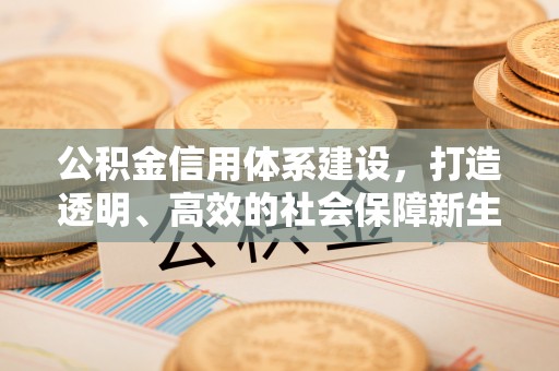 固原公积金信用体系建设，打造透明、高效的社会保障新生态