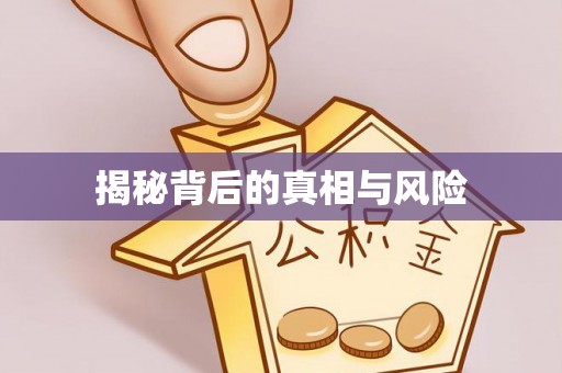 固原揭秘背后的真相与风险