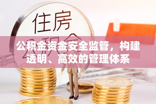 固原公积金资金安全监管，构建透明、高效的管理体系