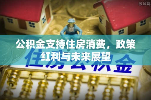 固原公积金支持住房消费，政策红利与未来展望