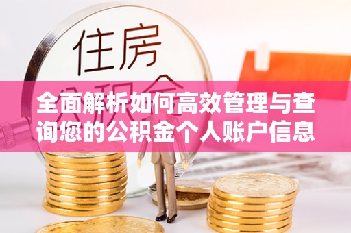 固原全面解析如何高效管理与查询您的公积金个人账户信息