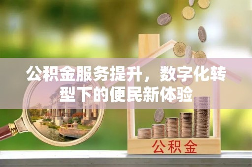 固原公积金服务提升，数字化转型下的便民新体验