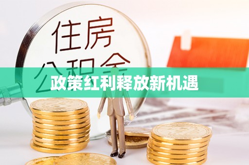 固原政策红利释放新机遇
