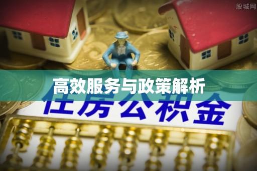 固原高效服务与政策解析