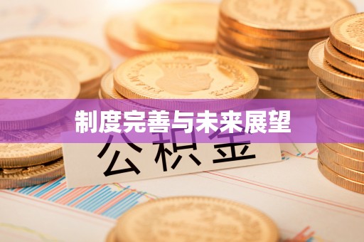 固原制度完善与未来展望