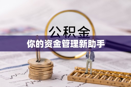 固原你的资金管理新助手