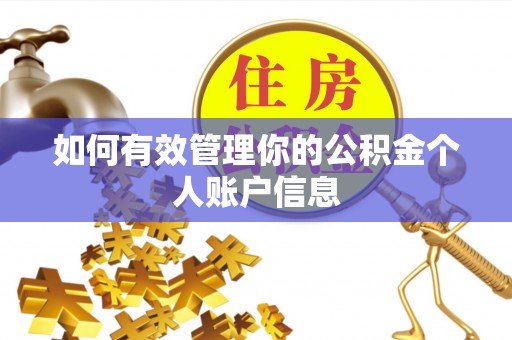 固原如何有效管理你的公积金个人账户信息