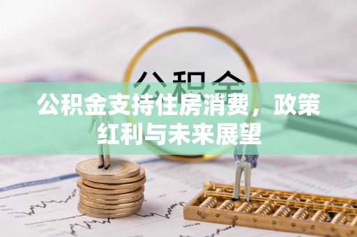 固原公积金支持住房消费，政策红利与未来展望