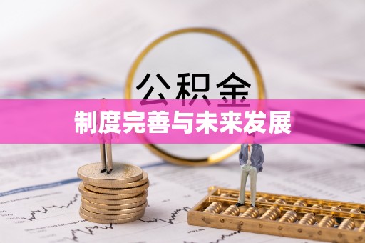固原制度完善与未来发展