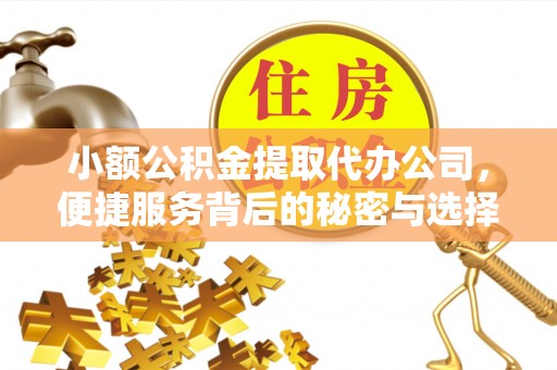 固原小额公积金提取代办公司，便捷服务背后的秘密与选择指南