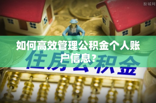 固原如何高效管理公积金个人账户信息？