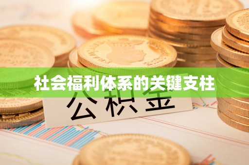 固原社会福利体系的关键支柱