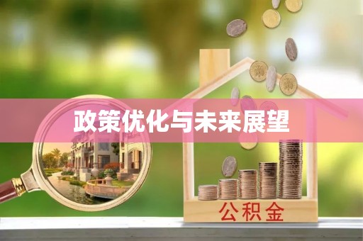 固原政策优化与未来展望