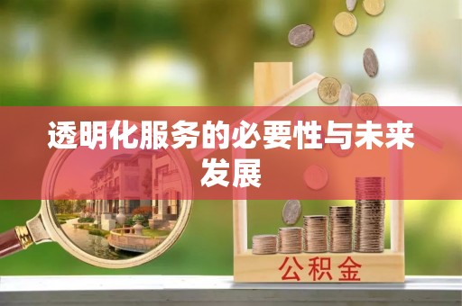 固原透明化服务的必要性与未来发展
