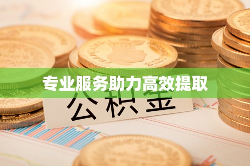 固原专业服务助力高效提取