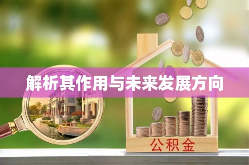 固原解析其作用与未来发展方向